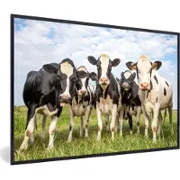 PosterMonkey Fotolijst - Koe - Dieren - Natuur - Gras - Koeien - Poster - Frame - 60x40 cm - Poster met lijst - Frame poster - Poster koe - Decoratie woonkamer - Poster dieren