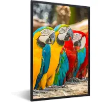 PosterMonkey Fotolijst incl. Poster - Vogels - Papegaai - Tropisch - Natuur - 40x60 cm - Posterlijst