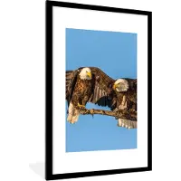 PosterMonkey - Poster - Fotolijst - Vogel - Takken - Arend - Roofvogels - Lucht - 80x120 cm - Poster frame - Foto in lijst - Poster dieren - Poster vogels
