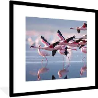 PosterMonkey Poster - Fotolijst - Flamingo - Zee - Water - Vogel - Tropical - Frame - 40x40 cm - Poster met lijst - Posterlijst - Poster flamingo - Poster kader - Muurdecoratie