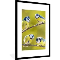 PosterMonkey Poster - Fotolijst - Vogel - Pimpelmees - Takken - Zon - 80x120 cm - Poster met frame - Kamer decoratie - Poster natuur - Poster vogels - Foto lijst