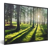PosterMonkey Fotolijst incl. Poster - Bomen - Natuur - Bos - 80x60 cm - Posterlijst