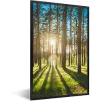 PosterMonkey Fotolijst incl. Poster - Zon - Bomen - Landschap - Gras - 80x120 cm - Posterlijst