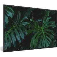 PosterMonkey Fotolijst incl. Poster - Monstera - Bladeren - Tropisch - Jungle - 60x40 cm - Posterlijst