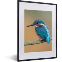 PosterMonkey Fotolijst incl. Poster - Vogel - IJsvogel - Dieren - Tak - 30x40 cm - Posterlijst