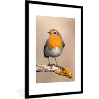 PosterMonkey - Poster - Fotolijst - Roodborstje - Vogel - Takken - Dier - 60x90 cm - Poster natuur - Poster vogels - Muurdecoratie - Poster met kader - Foto in lijst