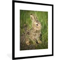 PosterMonkey Fotolijst incl. Poster - Haas - Baby - Tuin - 60x80 cm - Posterlijst