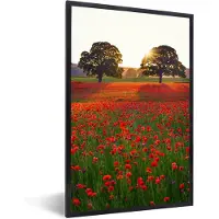 PosterMonkey Fotolijst incl. Poster - Klaprozen - Bloemenveld - Zon - 80x120 cm - Posterlijst