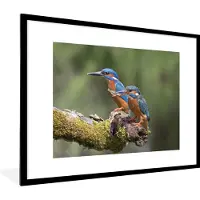PosterMonkey Fotolijst incl. Poster - IJsvogels - Vis - Tak - 80x60 cm - Posterlijst