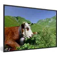 PosterMonkey Fotolijst incl. Poster - Koe - Planten - Berg - 120x80 cm - Posterlijst