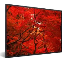PosterMonkey Fotolijst incl. Poster - Herfst - Bos - Rood - 80x60 cm - Posterlijst