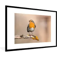 PosterMonkey - Poster - Fotolijst - Roodborstje - Vogel - Takken - Dier - 120x80 cm - Poster natuur - Poster vogels - Muurdecoratie - Poster met kader - Foto in lijst