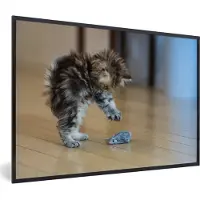 PosterMonkey Fotolijst incl. Poster - Kitten op muizenjacht - 60x40 cm - Posterlijst