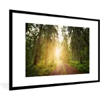 PosterMonkey Fotolijst incl. Poster - Bos - Boom - Zon - 120x80 cm - Posterlijst