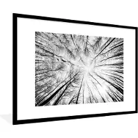 PosterMonkey Fotolijst incl. Poster - Beukenfoto vanaf de grond gemaakt - 120x80 cm - Posterlijst