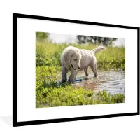 PosterMonkey Fotolijst incl. Poster - Puppy spelend in een waterplas - 90x60 cm - Posterlijst
