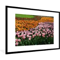 PosterMonkey Fotolijst incl. Poster - Gekleurde tulpen in de Keukenhof - 90x60 cm - Posterlijst