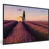 PosterMonkey Fotolijst incl. Poster - Rijen van paarse lavendel - 30x20 cm - Posterlijst