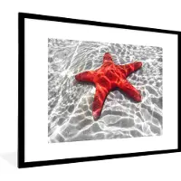 PosterMonkey Fotolijst incl. Poster - Zeester - Rood - Water - 80x60 cm - Posterlijst