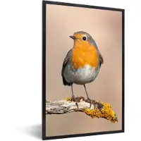 PosterMonkey - Poster - Fotolijst - Roodborstje - Vogel - Takken - Dier - 80x120 cm - Poster natuur - Poster vogels - Muurdecoratie - Poster met kader - Foto in lijst