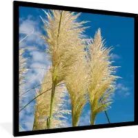 PosterMonkey Fotolijst incl. Poster - Planten - Pampasgras - Lucht - 40x40 cm - Posterlijst