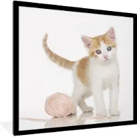PosterMonkey Fotolijst incl. Poster - Kitten met wol - 40x40 cm - Posterlijst