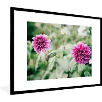 PosterMonkey Fotolijst incl. Poster - Dahlia's in de bloei - 80x60 cm - Posterlijst