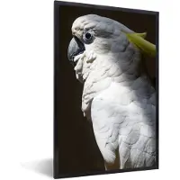 PosterMonkey Fotolijst incl. Poster - Zonnestralen op de witte kaketoe - 80x120 cm - Posterlijst