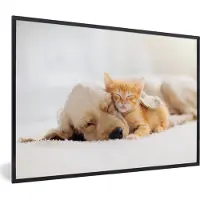 PosterMonkey Poster - Fotolijst - Kat - Hond - Poes - Kitten - Deken - Dieren - Frame - 60x40 cm - Poster kat - Poster hond - Poster met lijst - Frame poster - Kamer decoratie