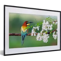 PosterMonkey Fotolijst incl. Poster - Vogel - Bijeneter - Bloemen - 60x40 cm - Posterlijst