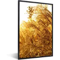 PosterMonkey Fotolijst incl. Poster - Pampasgras - Zon - Gras - 80x120 cm - Posterlijst