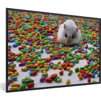 PosterMonkey Fotolijst incl. Poster - Hamster tussen het kleurrijke snoep - 120x80 cm - Posterlijst