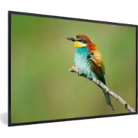 PosterMonkey Fotolijst incl. Poster - Vogel - Dieren - Bijeneter - 60x40 cm - Posterlijst