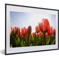 PosterMonkey Fotolijst incl. Poster - Een veld vol met rode tulpen - 40x30 cm - Posterlijst
