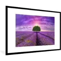 PosterMonkey Poster - Fotolijst - Lavendel - Boom - Zon - Bloemen - Paars - 90x60 cm - Kader - Posterlijst - Foto in lijst - Poster lavendel - Poster lijst - Muurdecoratie