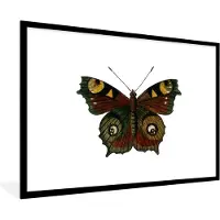 PosterMonkey Fotolijst incl. Poster - Vlinder - Dagpauwoog - Insecten - 120x80 cm - Posterlijst