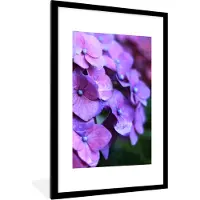 PosterMonkey Poster - Fotolijst - Hortensia - Bloemen - Natuur - Paars - Frame - 60x90 cm - Poster kader - Foto lijst - Poster bloemen - Poster natuur - Woondecoratie