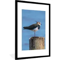 PosterMonkey Poster - Fotolijst - Vogel - Dieren - Paal - Lucht - 80x120 cm - Wanddecoratie - Poster lijst - Poster vogels - Foto met lijst - Poster dieren - Frame