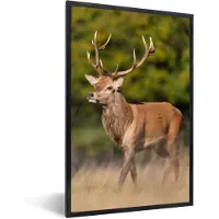 PosterMonkey Poster - Fotolijst - Hert - Natuur - Heide - Dieren - Landschap - 20x30 cm - Kader - Poster hert - Poster met kader - Kamerdecoratie - Poster dieren - Foto lijst
