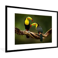 PosterMonkey Poster - Fotolijst - Vogels - Toekan - Tak - Dieren - 90x60 cm - Foto met lijst - Poster vogels - Poster frame - Wanddecoratie dieren - Poster natuur - Posters