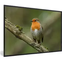 PosterMonkey Poster - Fotolijst - Vogel - Roodborstje - Tak - Planten - 60x40 cm - Poster met lijst - Foto in lijst - Decoratie woonkamer - Poster vogels - Poster natuur