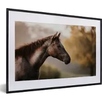 PosterMonkey Fotolijst incl. Poster - Paard - Bos - Portret - 60x40 cm - Posterlijst