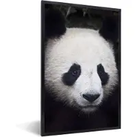 PosterMonkey Fotolijst incl. Poster - Panda - Portret - Zwart - Wit - 80x120 cm - Posterlijst