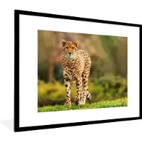 PosterMonkey Fotolijst incl. Poster - Wilde dieren - Gras - Luipaard - Natuur - 80x60 cm - Posterlijst