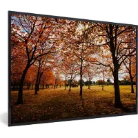 PosterMonkey Fotolijst incl. Poster - Herfst - Herfstbladeren - Natuur - 60x40 cm - Posterlijst