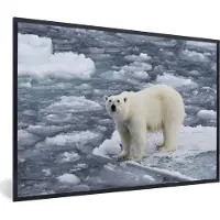 PosterMonkey Fotolijst incl. Poster - IJsbeer - Water - Dieren - 90x60 cm - Posterlijst
