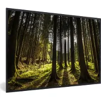 PosterMonkey Fotolijst incl. Poster - Boom - Natuur - Zon - Bos - 120x80 cm - Posterlijst