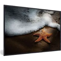 PosterMonkey Fotolijst incl. Poster - Zeester - Zand - Water - 60x40 cm - Posterlijst