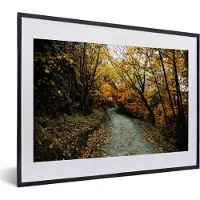 PosterMonkey Fotolijst incl. Poster - Bladeren - Herfst - Bos - 40x30 cm - Posterlijst