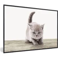 PosterMonkey Poster in fotolijst kinderen - Kitten - Kat - Huisdieren - Jongens - Kinderen - Meisjes - Poster kinderkamer - Slaapkamer decoratie - 30x20 cm - Decoratie voor kinderkamers
